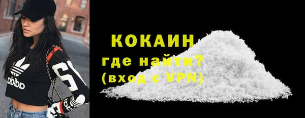 индика Киреевск